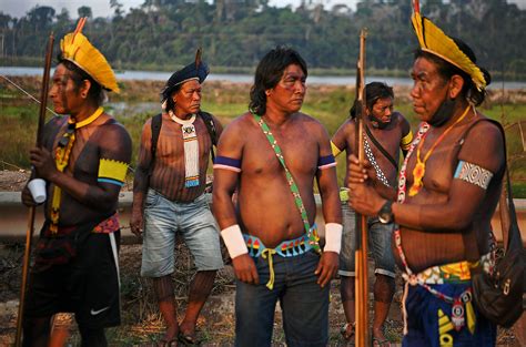  Carnaval da Amazônia :  Celebrations Amidst Deforestation and Indigenous Resistance